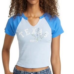 VINYL ICONS size SMALL TEXAS